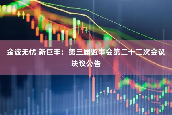 金诚无忧 新巨丰：第三届监事会第二十二次会议决议公告