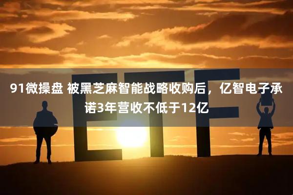91微操盘 被黑芝麻智能战略收购后,亿智电子承诺3年营收不低于12亿