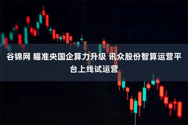 谷锦网 瞄准央国企算力升级 讯众股份智算运营平台上线试运营